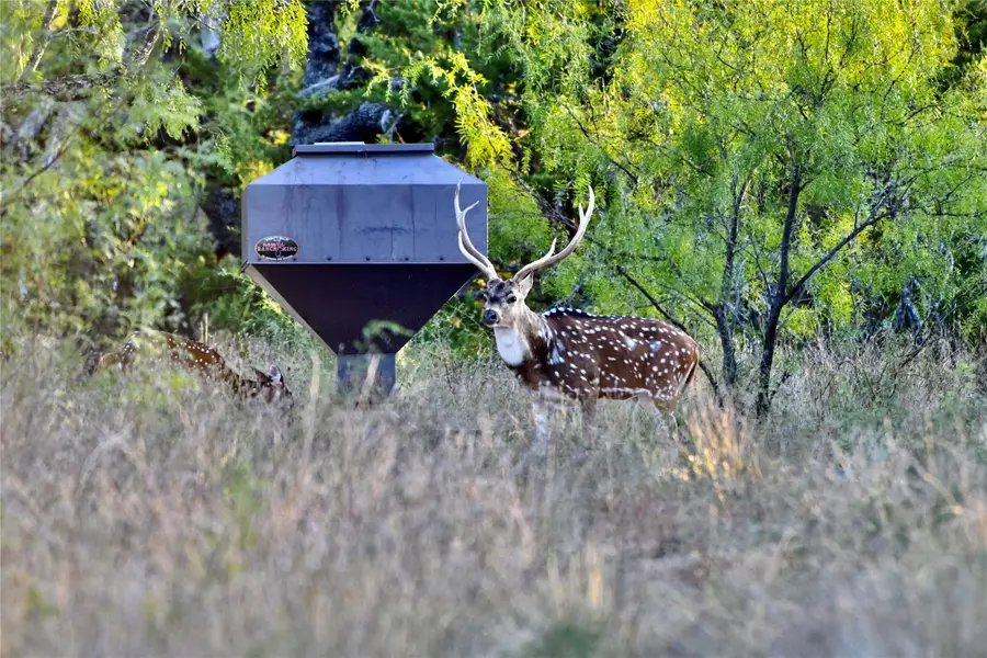 267 County Road 112, Mullin, TX 76864 - #3