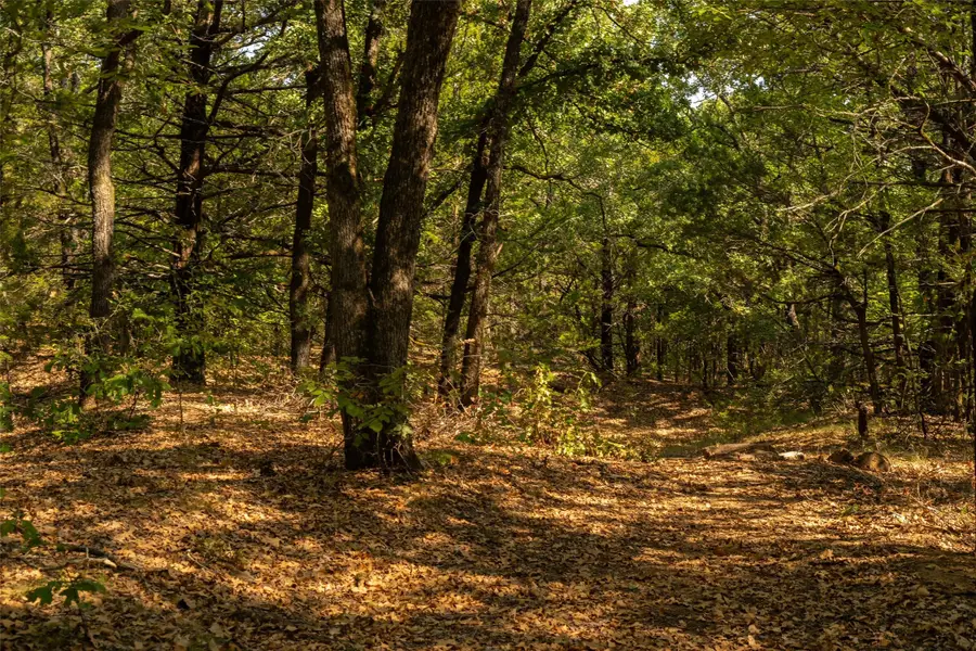 4 Acres Tiffany Lane, Whitesboro, TX 76273 - #2