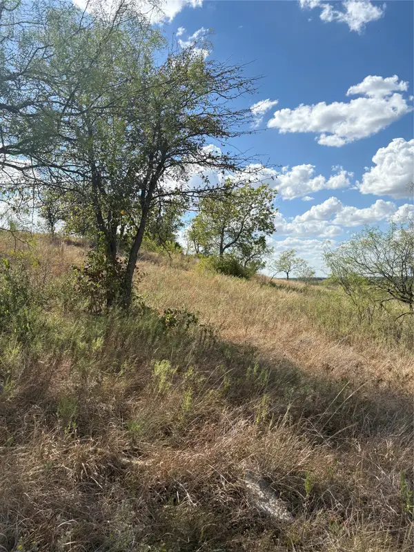 18 Parks Medow Dr., Gustine, TX 76455