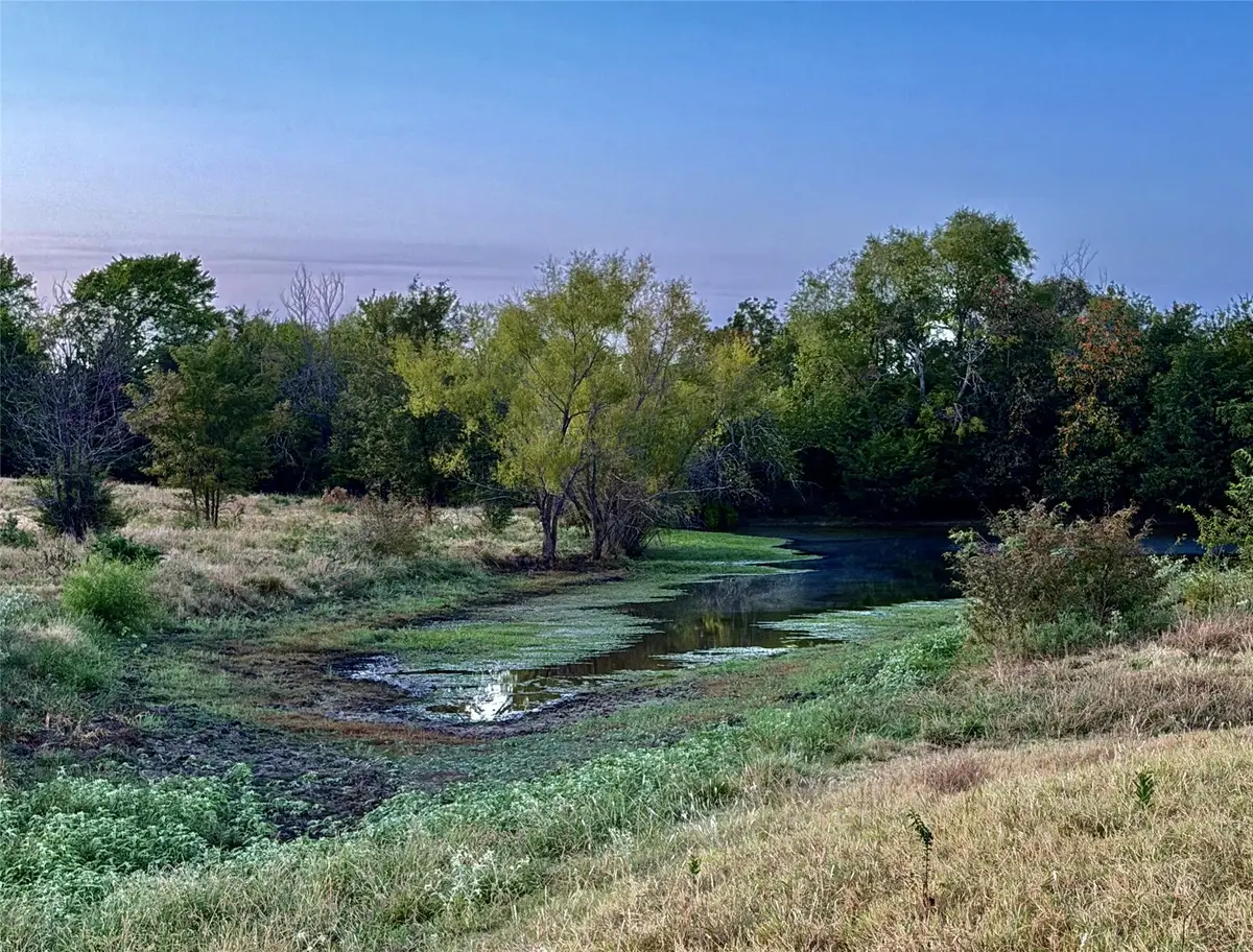 3638 County Road 2910, Dodd City, TX 75438 - #1