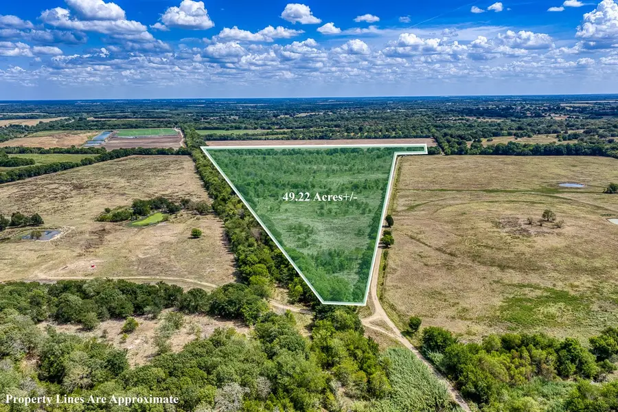 1 County Road 3505, Pecan Gap, TX 75469 - #2