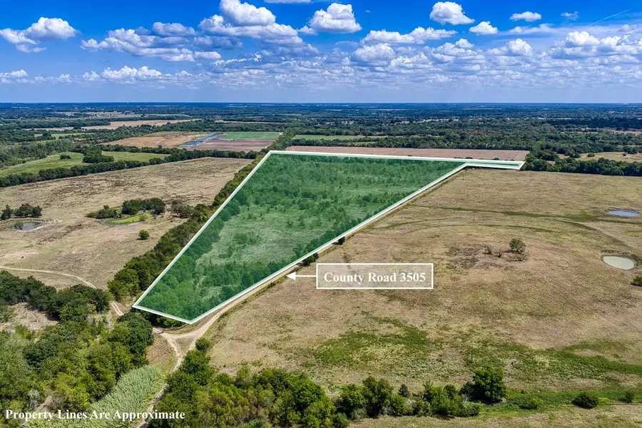 1 County Road 3505, Pecan Gap, TX 75469 - #3