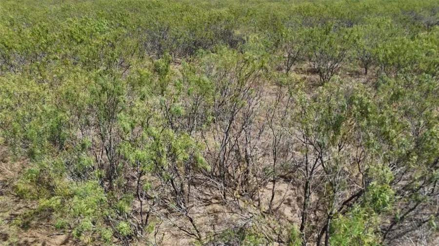 TBD County Road 3230, Abbott, TX 76621 - #3