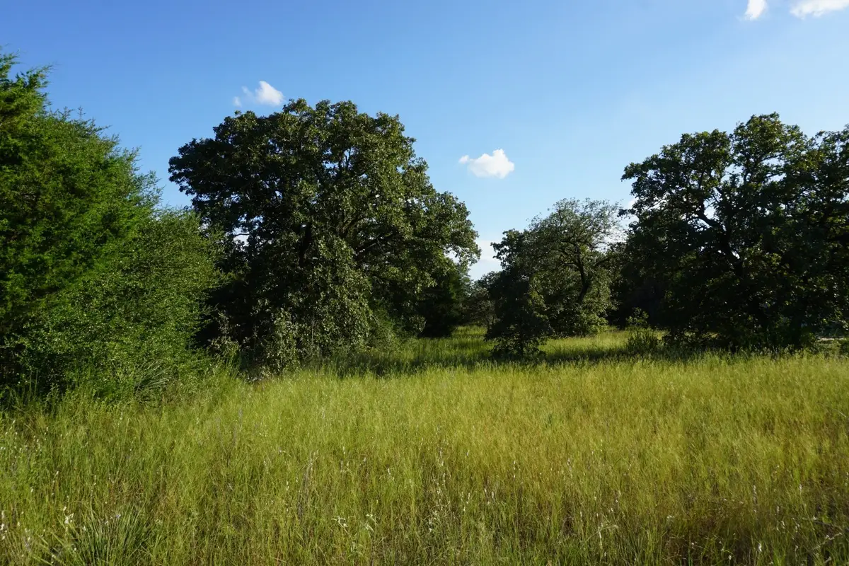 12641 Private Road 5104, Athens, TX 75751 - #1