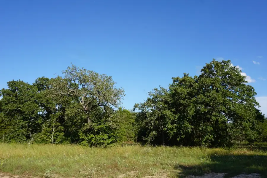 12641 Private Road 5104, Athens, TX 75751 - #2