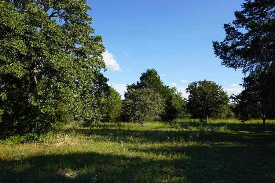 12641 Private Road 5104, Athens, TX 75751 - #3