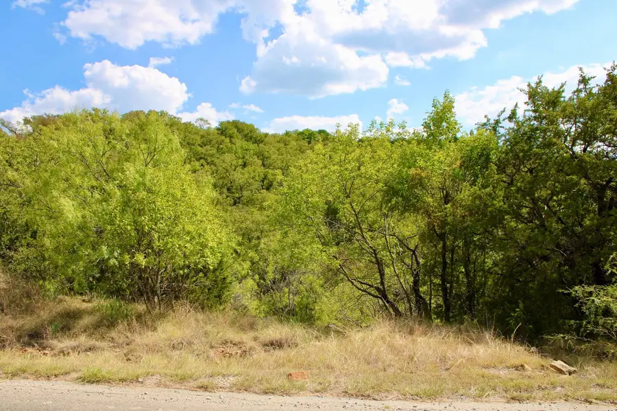 TBD Arts Way, Gordon, TX 76453 - #3
