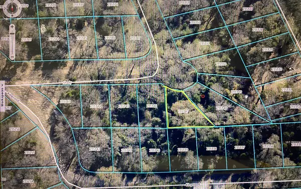 Lot 152 Shady Trail, Trinidad, TX 75163