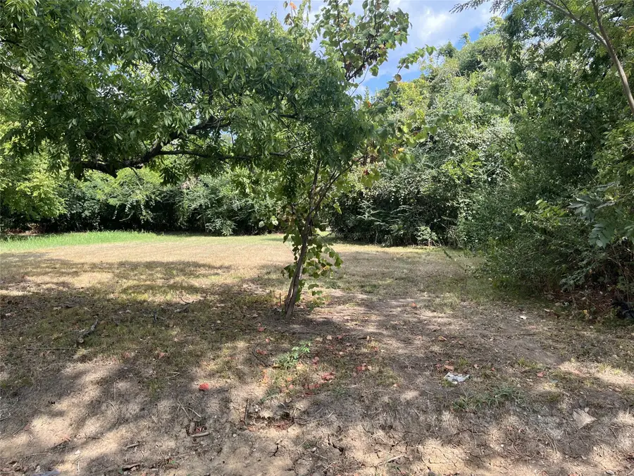 1024 NE 3rd Street, Paris, TX 75460 - #2