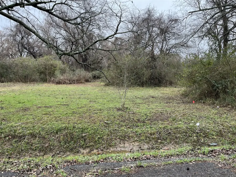 1024 NE 3rd Street, Paris, TX 75460 - #3