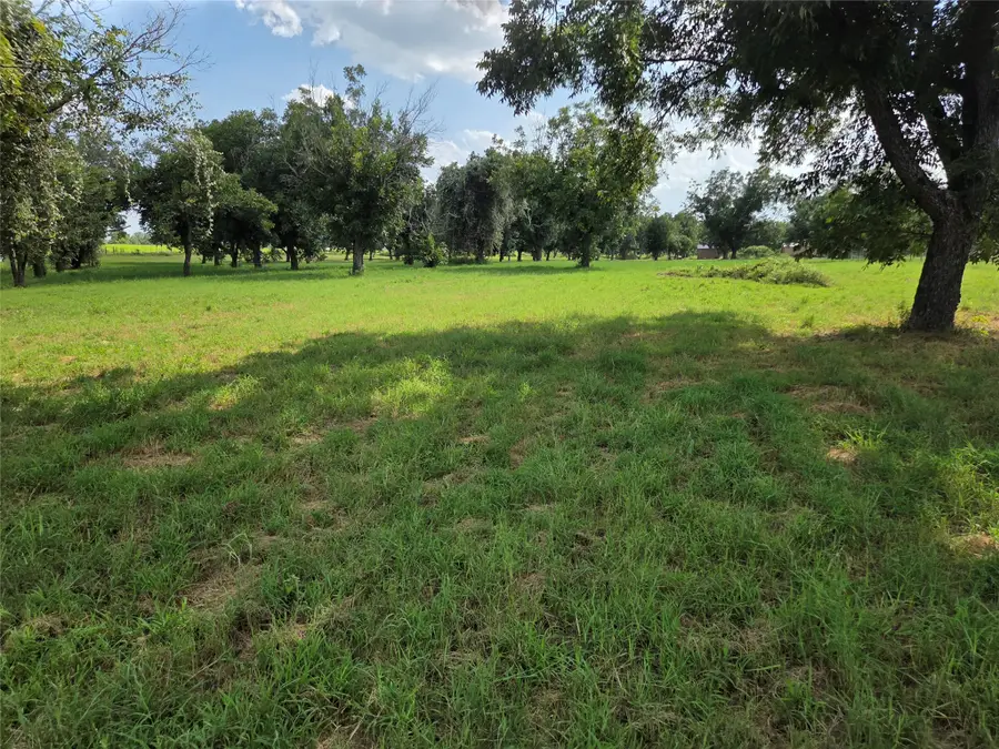 10005 Orchards Boulevard, Cleburne, TX 76033 - #2