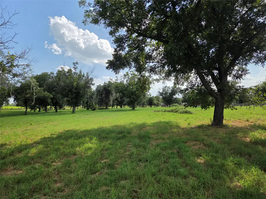 10005 Orchards Boulevard, Cleburne, TX 76033 - #3