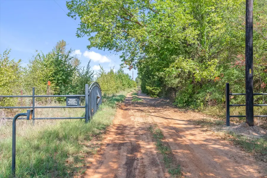 TBD County Road 8987, Ben Wheeler, TX 75754 - #3