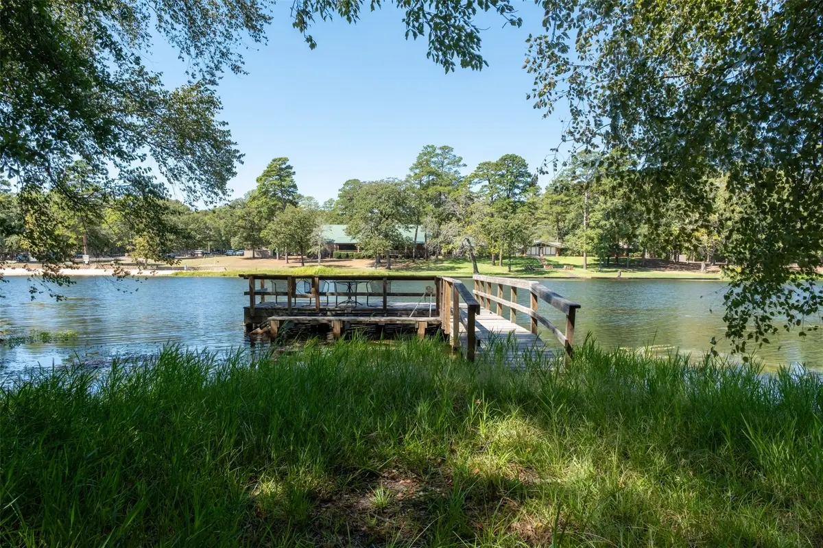 167 Blue Water Point, Holly Lake Ranch, TX 75765 - #1