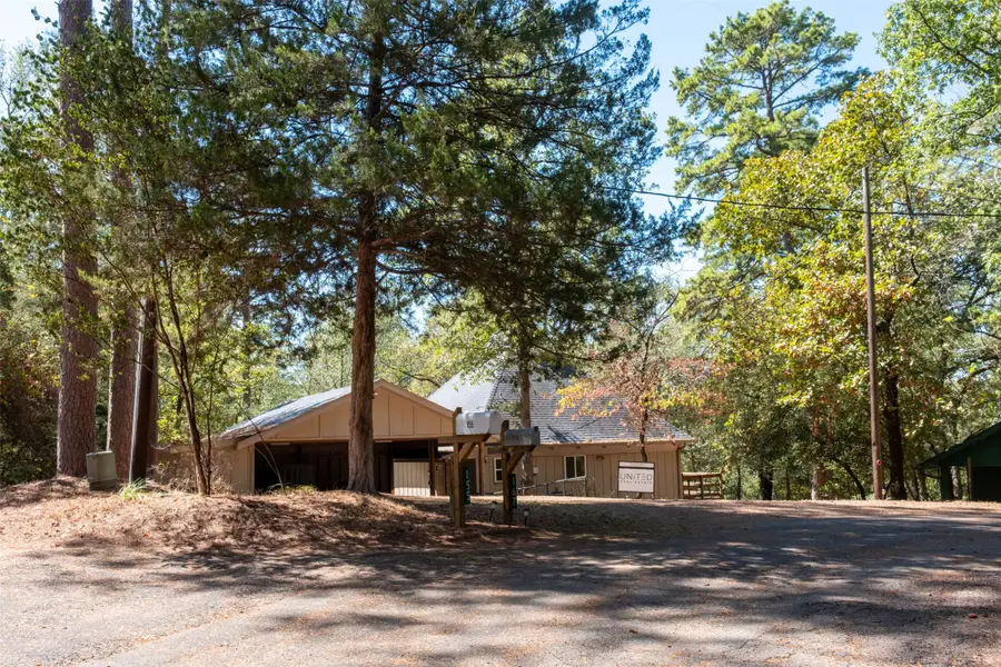 167 Blue Water Point, Holly Lake Ranch, TX 75765 - #2