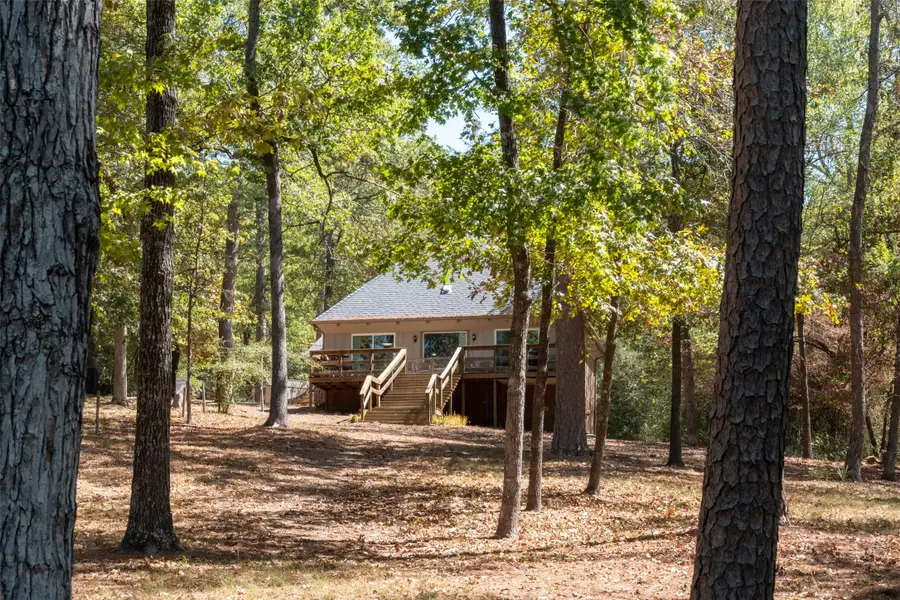 167 Blue Water Point, Holly Lake Ranch, TX 75765 - #3