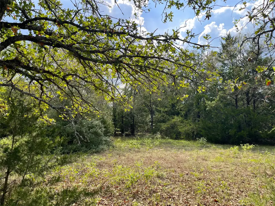 TBD Cr 161, Fairfield, TX 75840 - #3