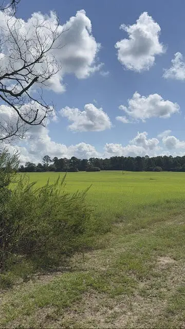 0 An Cnounty Road 1231, Palestine, TX 75801 - #3