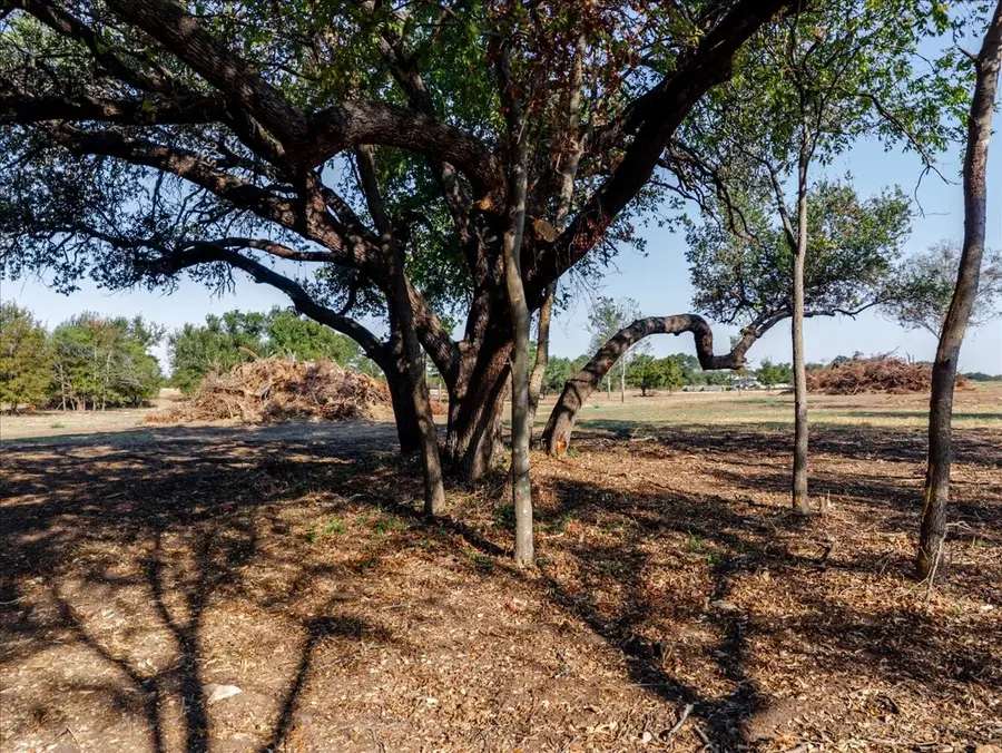 2768 Live Oak Road, Santo, TX 76472 - #3
