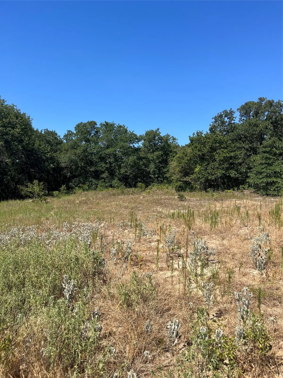 Lot 42 Antrim Court, Poolville, TX 76487 - #1