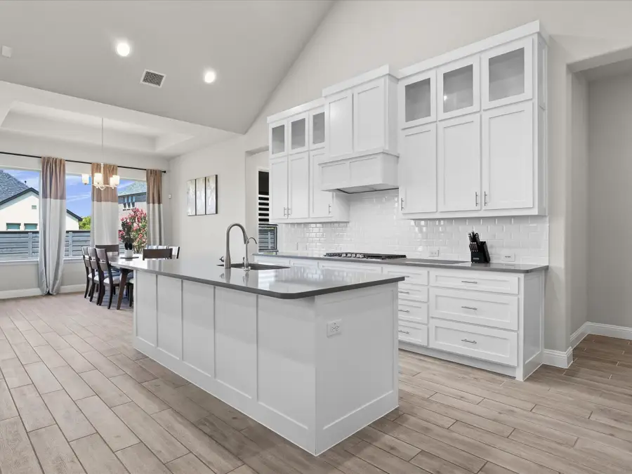 7025 Central Court, Little Elm, TX 76227 - #3