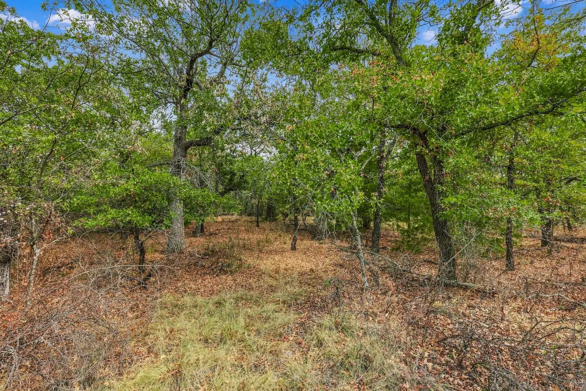 Lot 296 Silver Leaf, Sunset, TX 76270 - #1