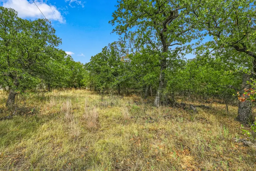 Lot 296 Silver Leaf, Sunset, TX 76270 - #2