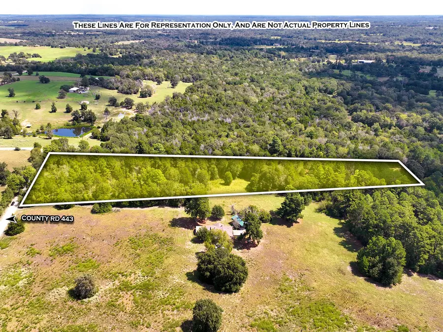 18064 County Road 443, Marquez, TX 77865 - #2