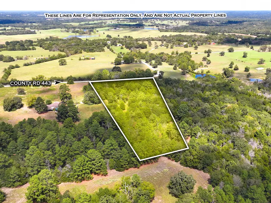 18064 County Road 443, Marquez, TX 77865 - #3