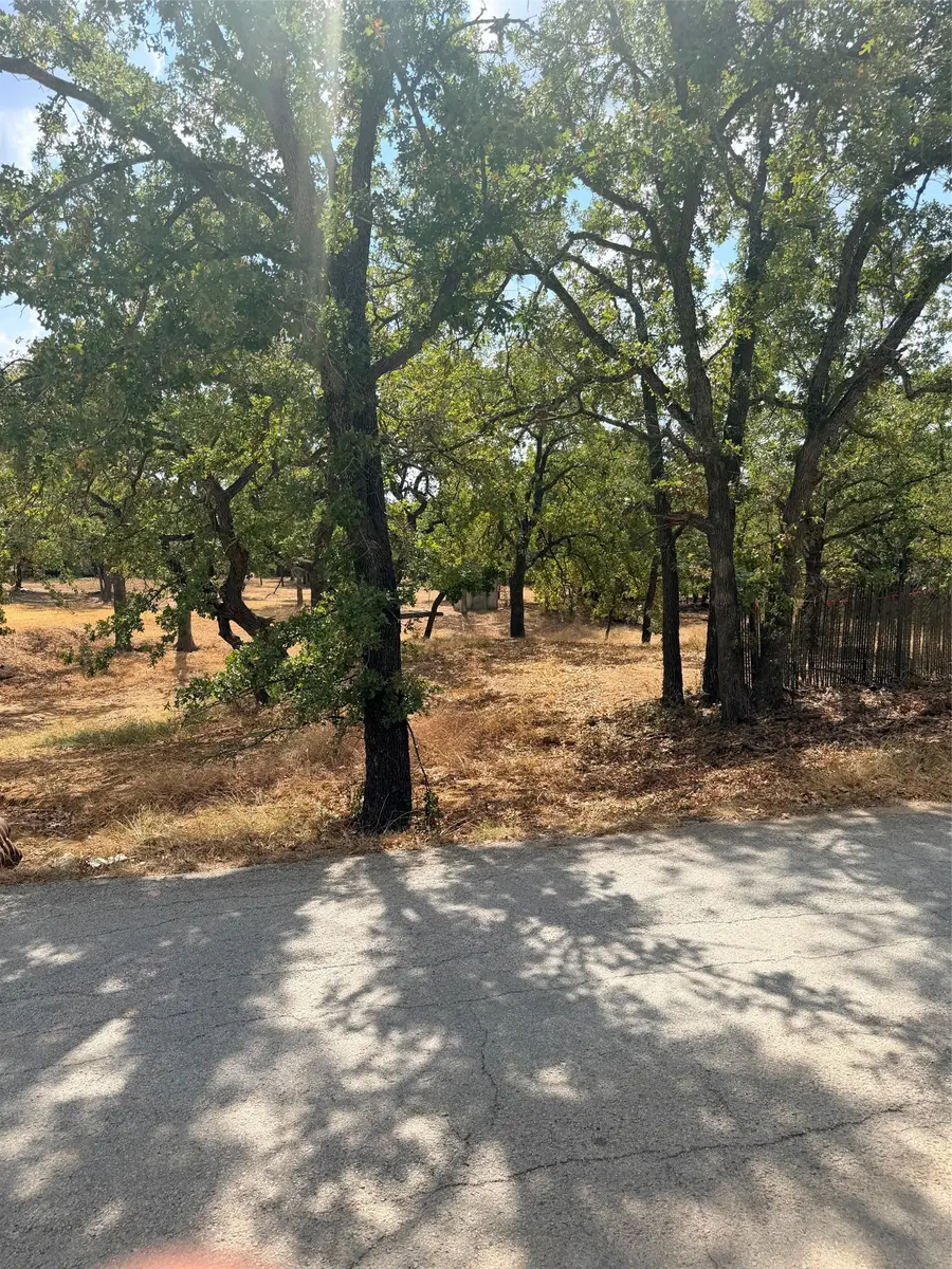 153 Catfish Trail, Bowie, TX 76230 - #3