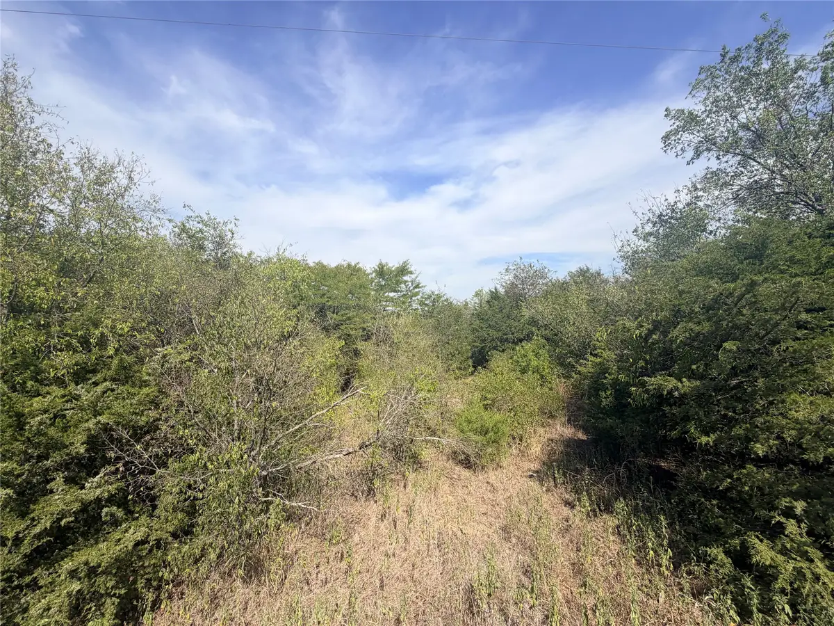 TBD Cr 3824, Wills Point, TX 75160 - #1