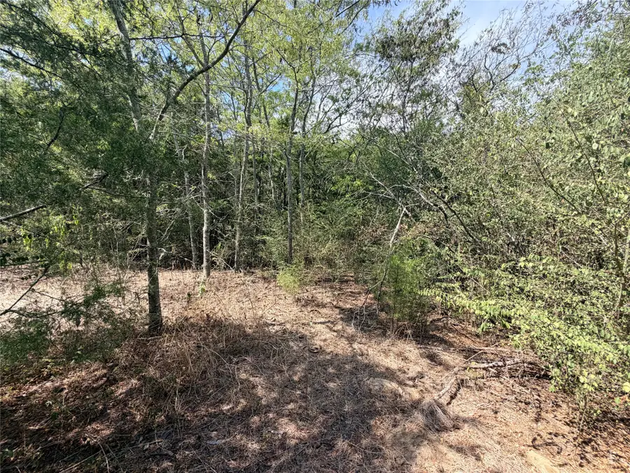 TBD Cr 3824, Wills Point, TX 75160 - #3