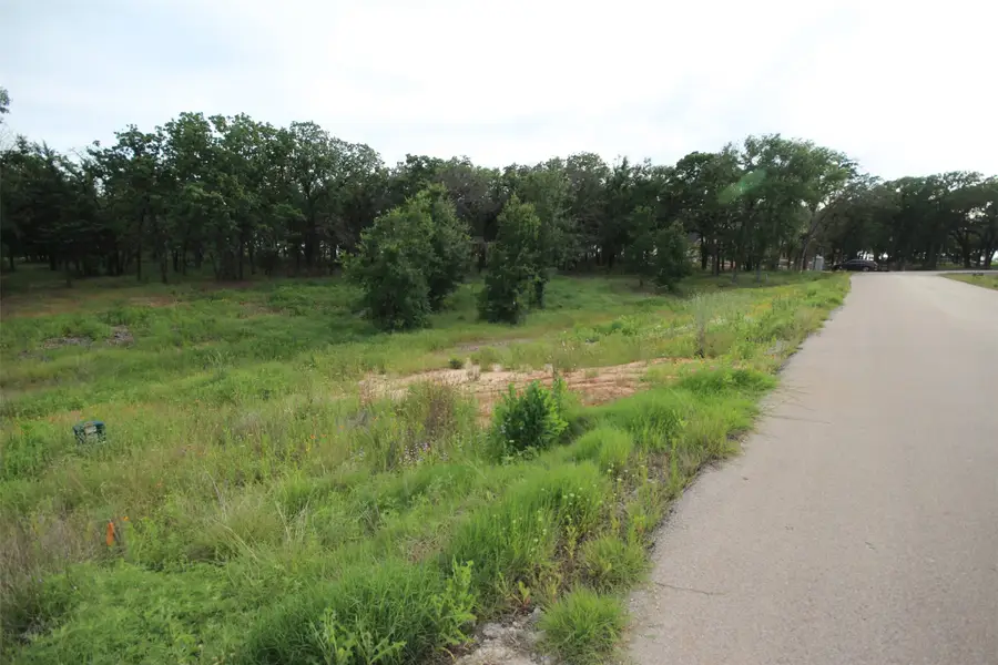 174 Hansma Way, Weatherford, TX 76087 - #2