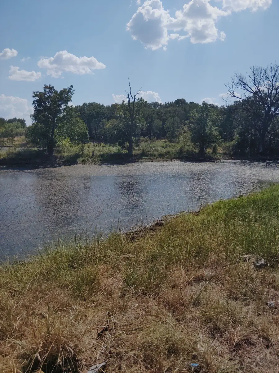 0000 Fm 1125, Bowie, TX 76230 - #3