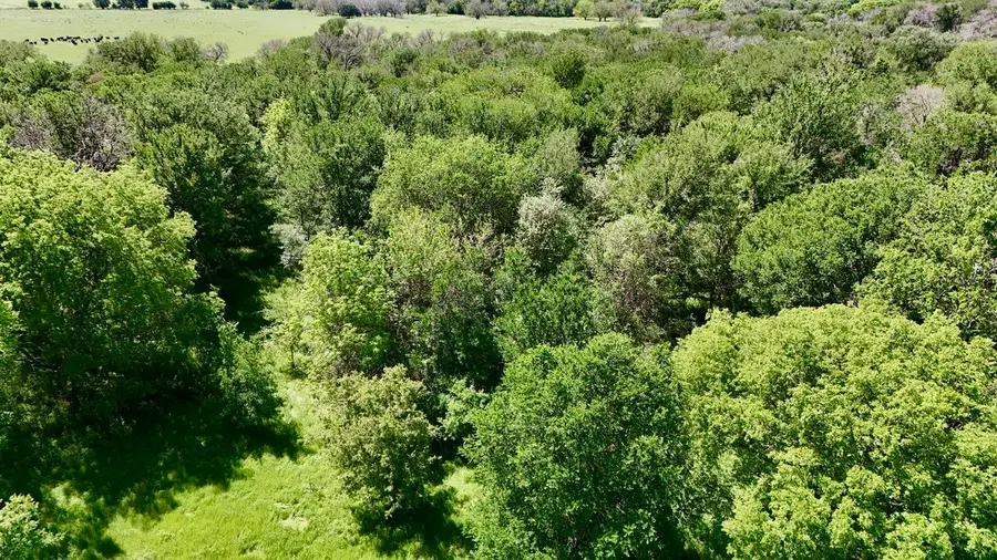 2031 County Road 3310, Valley Mills, TX 76689 - #2