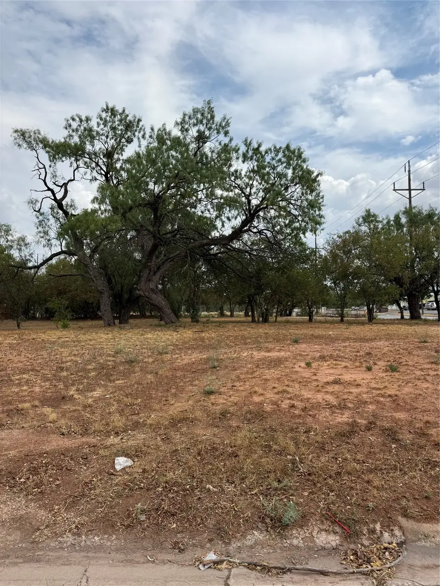 2332 N 3rd Street, Abilene, TX 79603 - #2