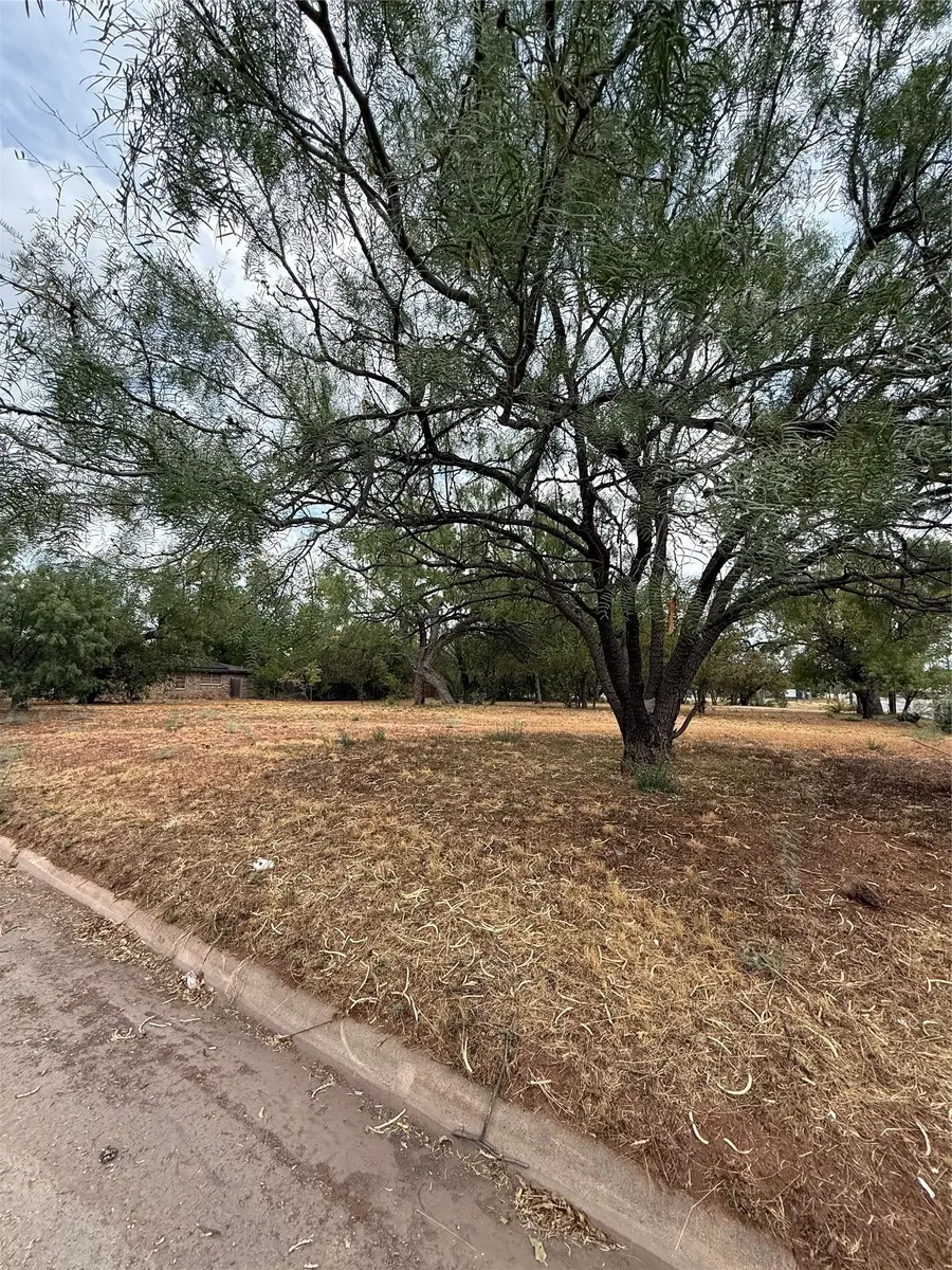 2332 N 3rd Street, Abilene, TX 79603 - #3