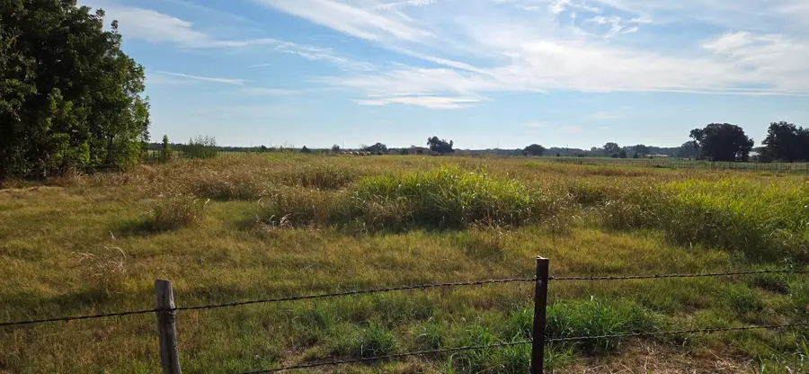 0000 Fm 901, Sadler, TX 76264 - #3