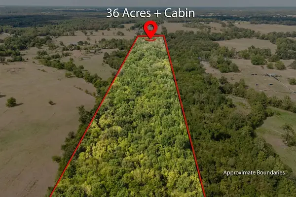 949 SW County Road 3250, Winnsboro, TX 75494