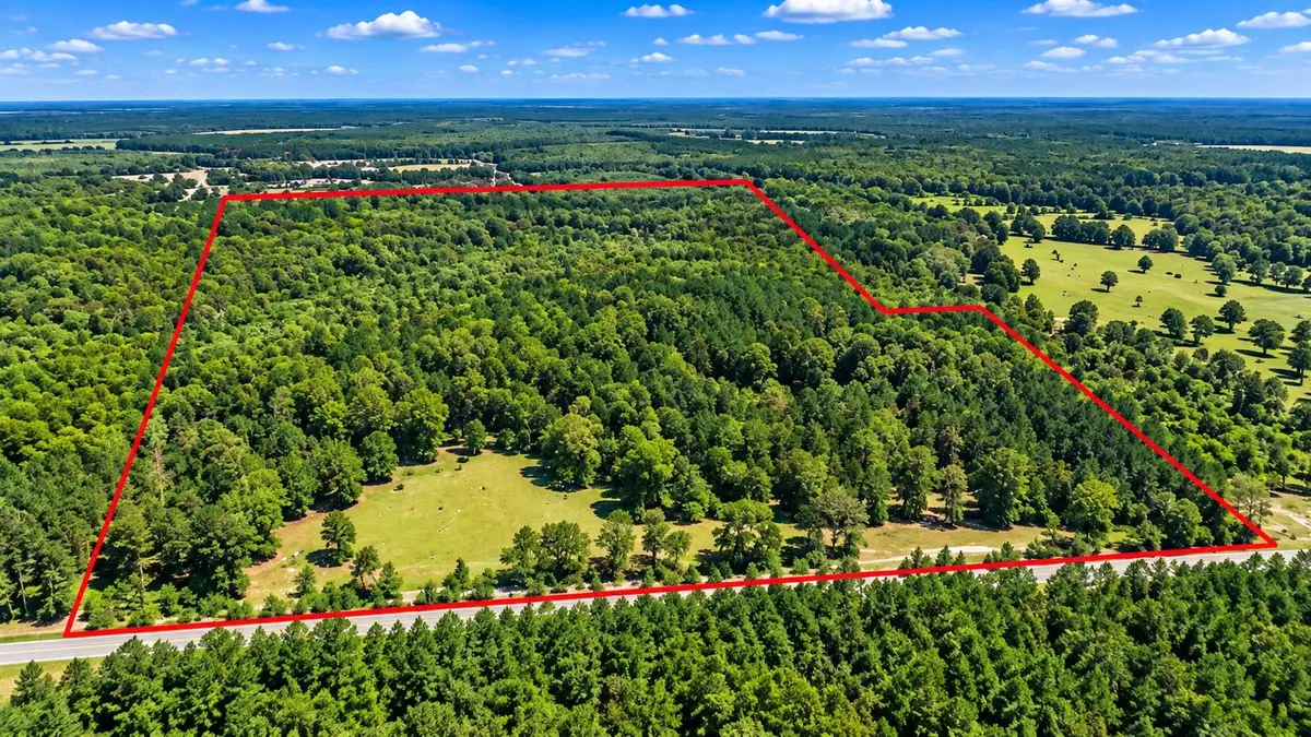368 Morman Road, Homer, LA 71040 - #1