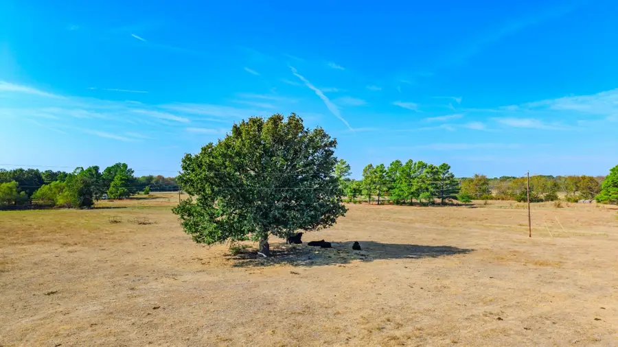 7161 County Road 3223, Lone Oak, TX 75453 - #2