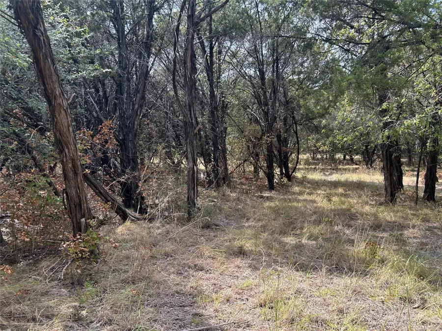 6020 Killmarnoch Drive, Cleburne, TX 76033 - #2