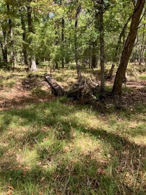 00 Cr 32220, Sumner, TX 75486 - #1