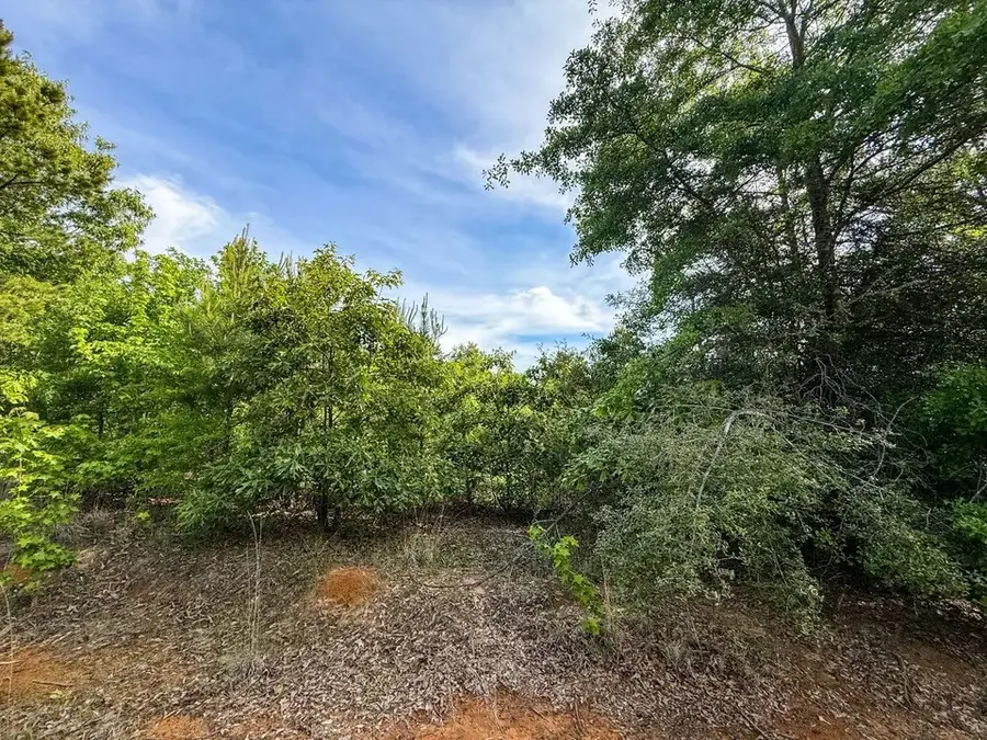 TBD White Oak Rd, Gladewater, TX 75647 - #3