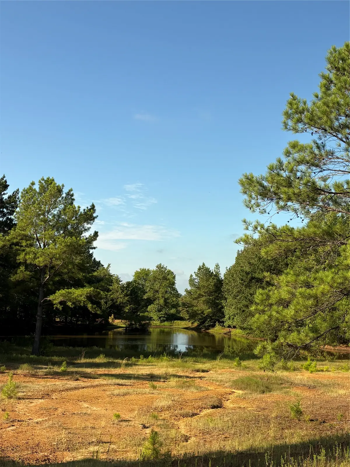 8965 N Us Hwy 59, Woodlawn, TX 75670 - #1