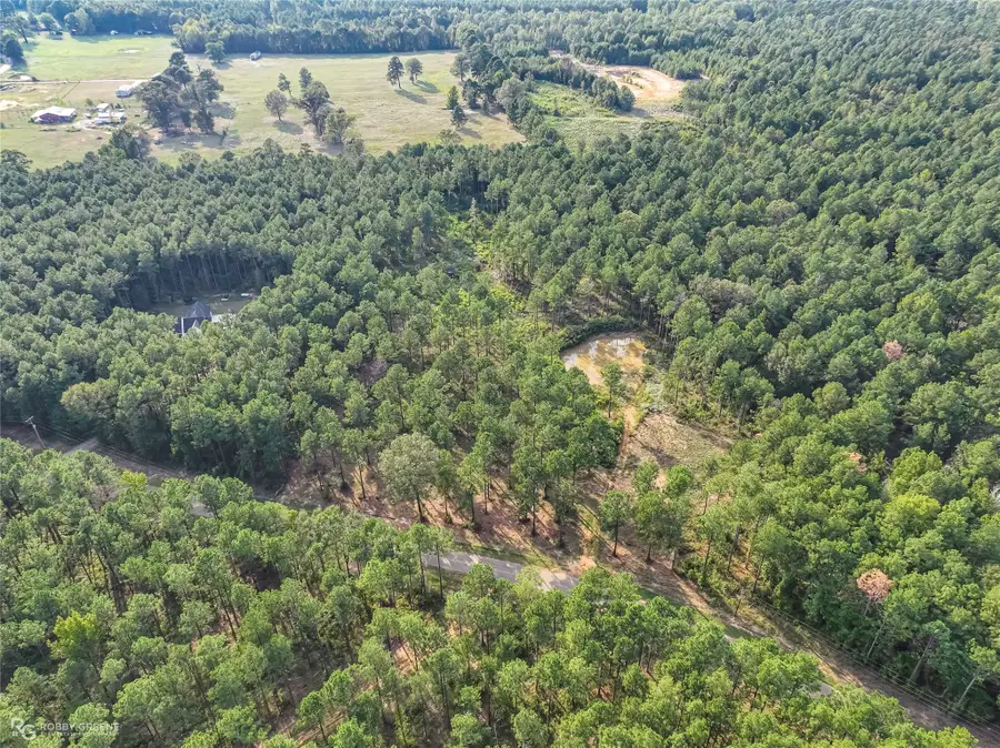 471 Cotton Valley Road, Haughton, LA 71037 - #3
