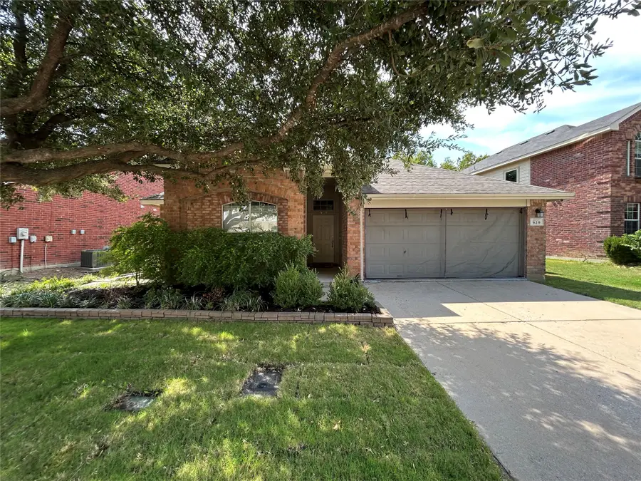 929 Warbler, Aubrey, TX 76227 - #2