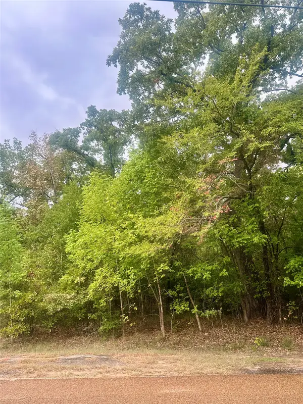 0 Alamo Road, Log Cabin, TX 75148
