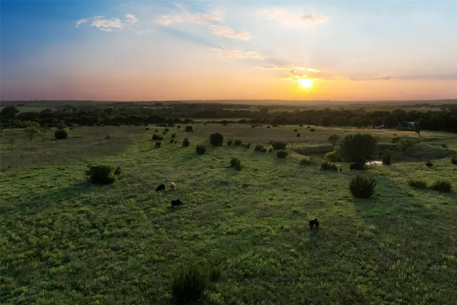 15313 Margarita Court, Lipan, TX 76462 - #2
