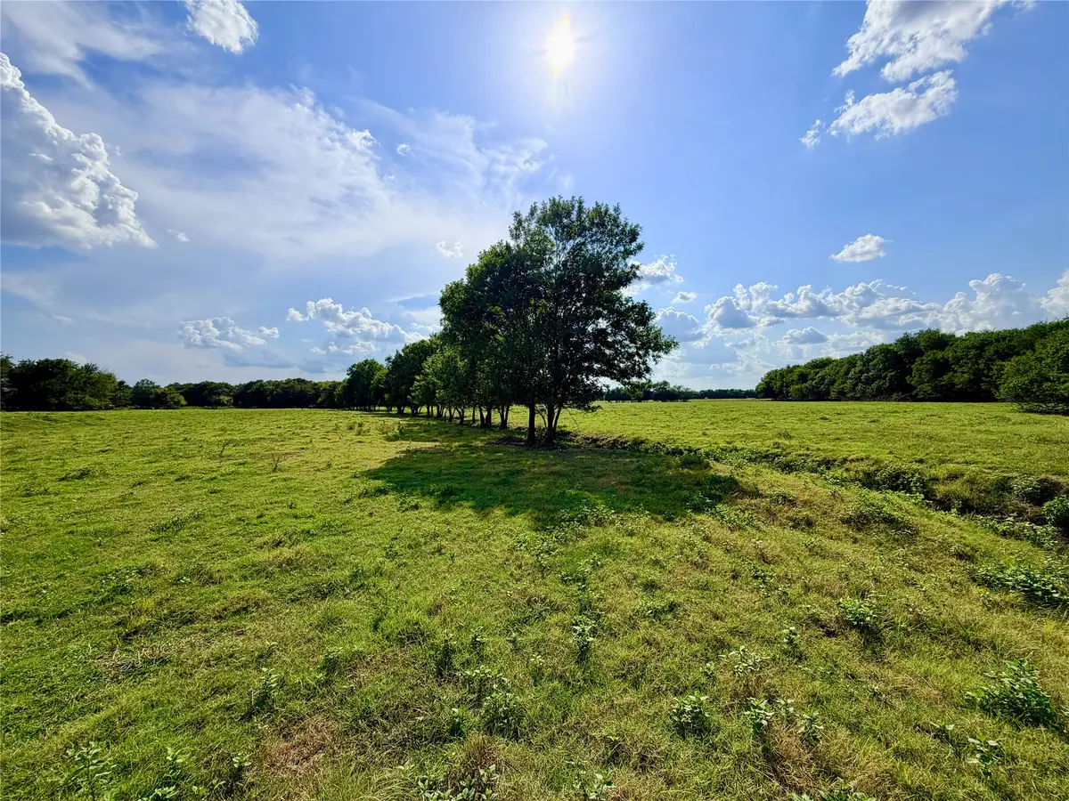 TBD Cr 2145, Cooper, TX 75432 - #1